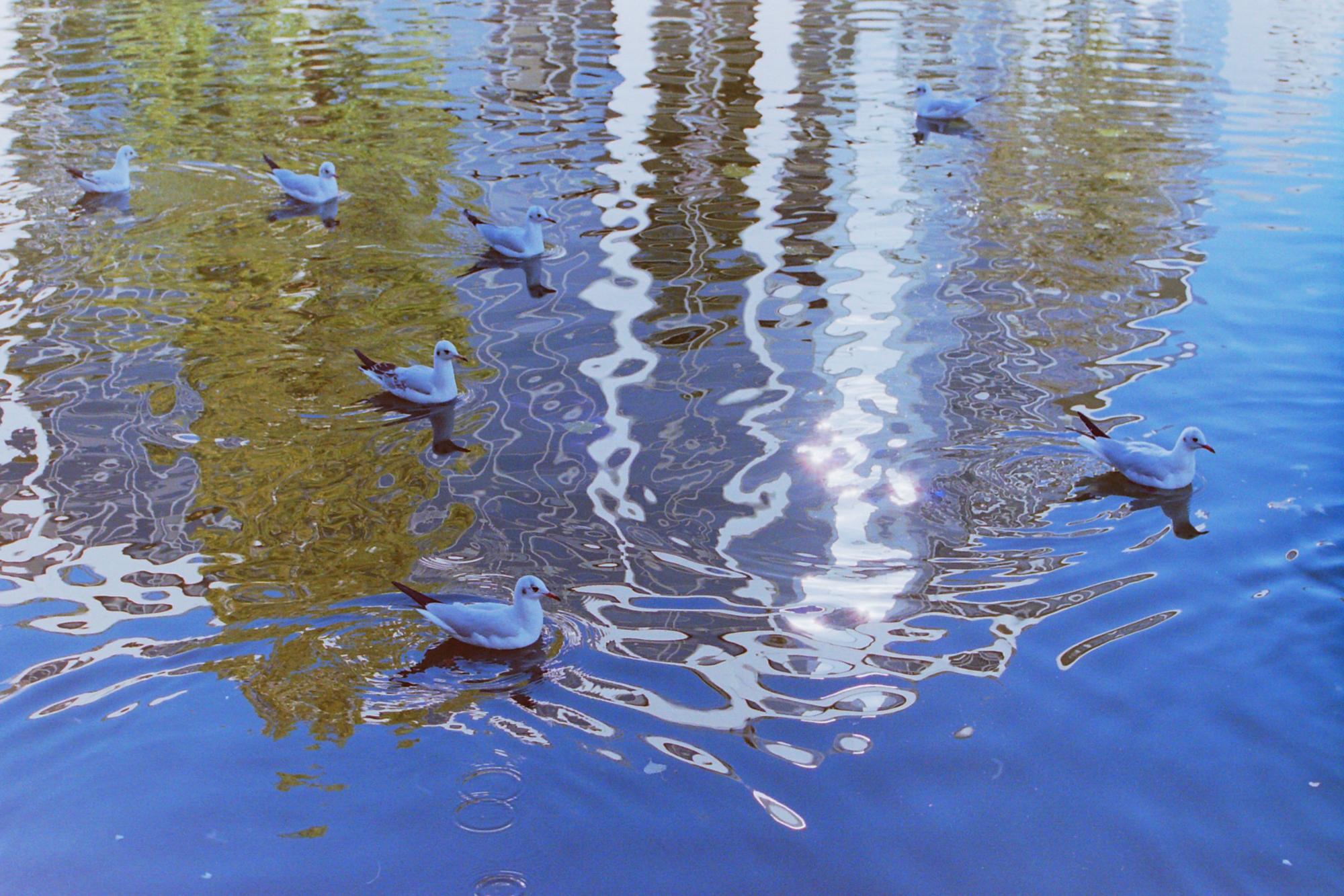 Fine Art Film photo of the Seine River in Paris