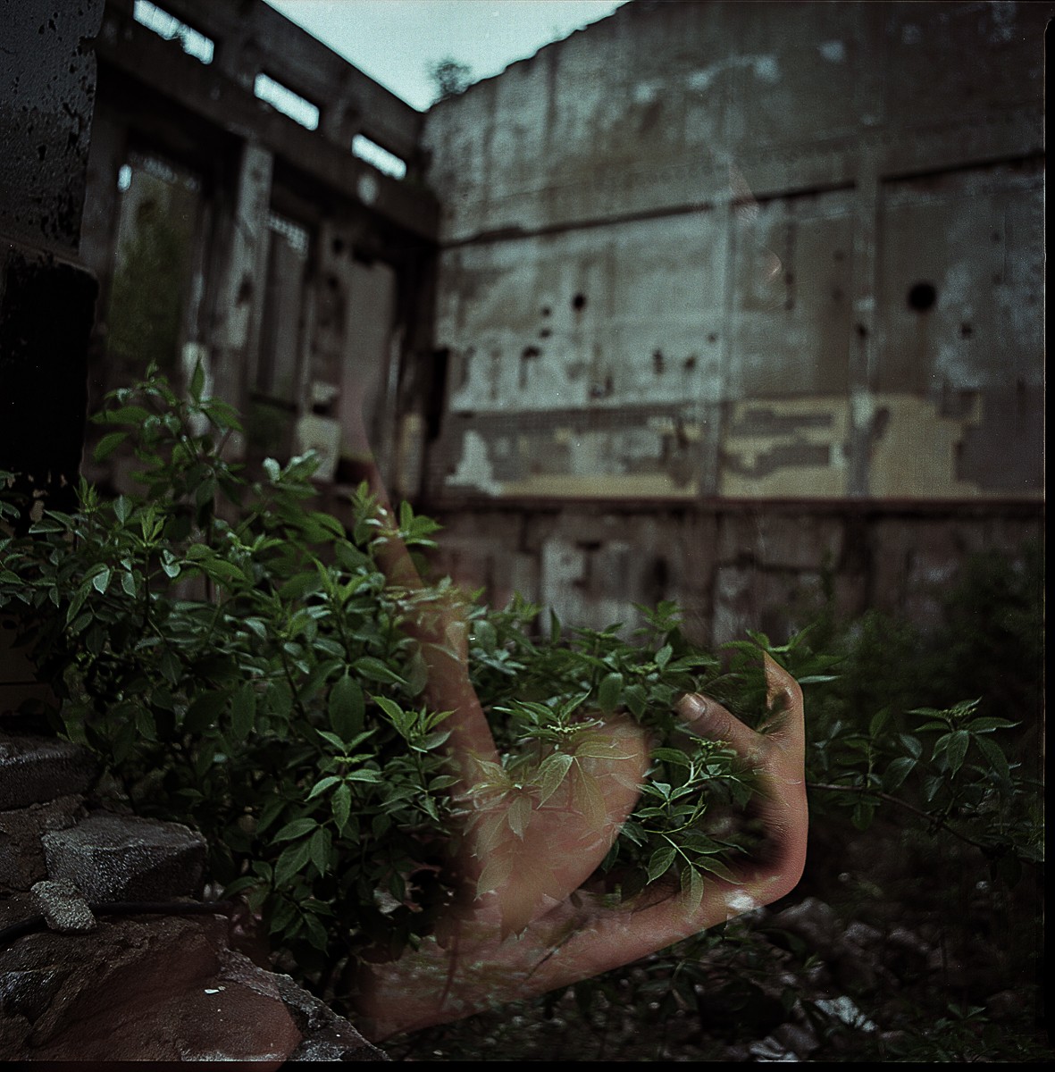 Multiple exposure