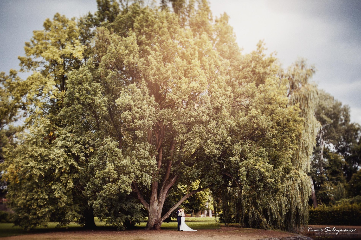 Wedding in the Chateau Liblice