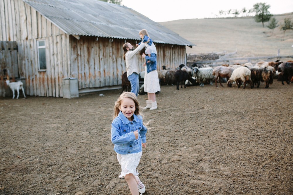 FAMILY - Sheepland