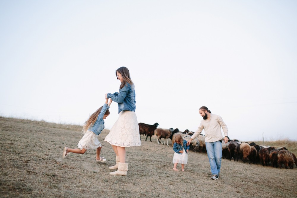 FAMILY - Sheepland