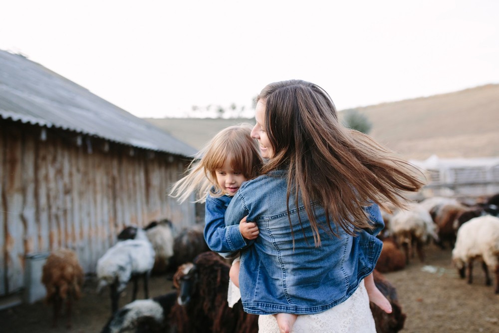 FAMILY - Sheepland