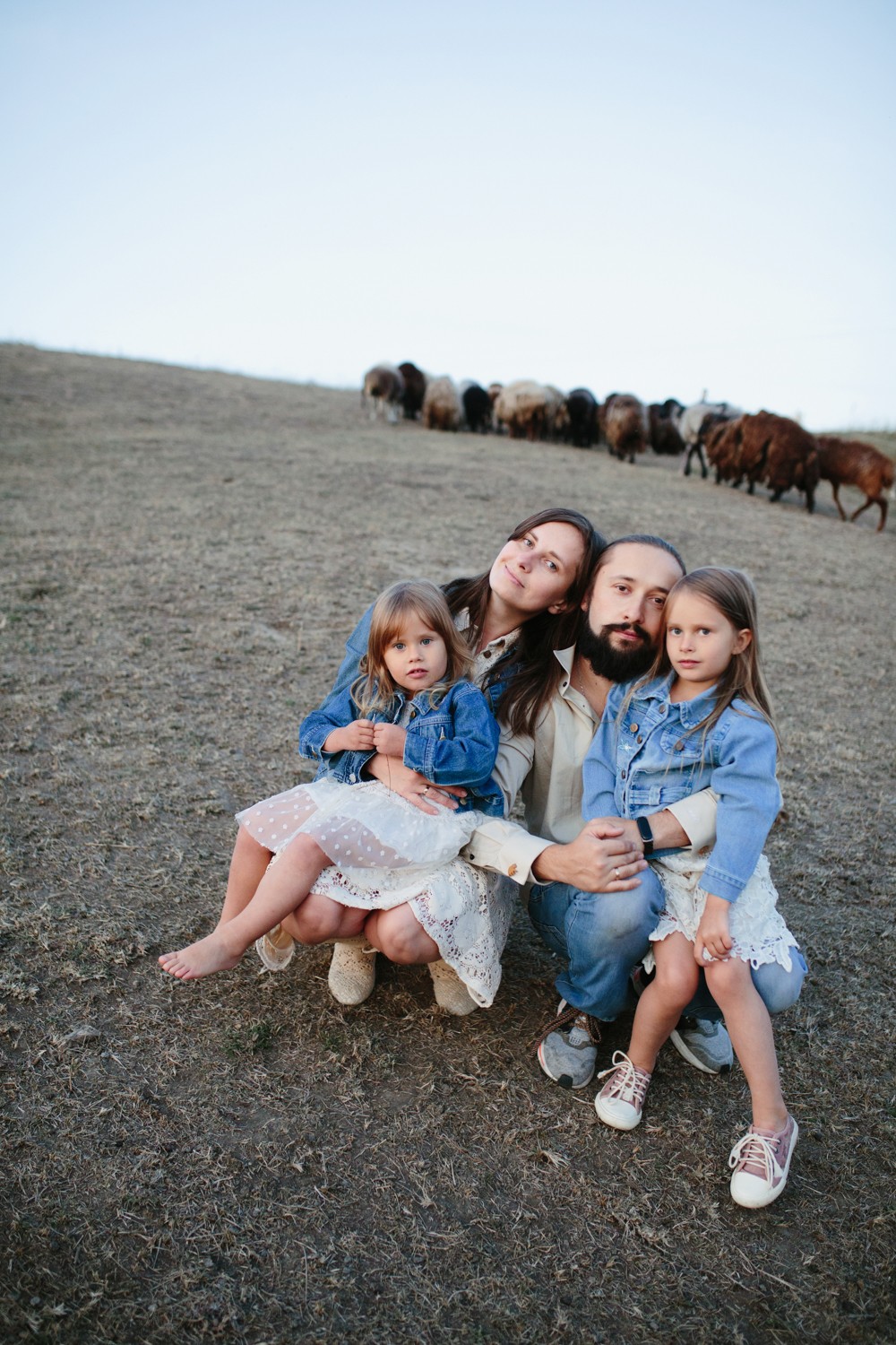 FAMILY - Sheepland