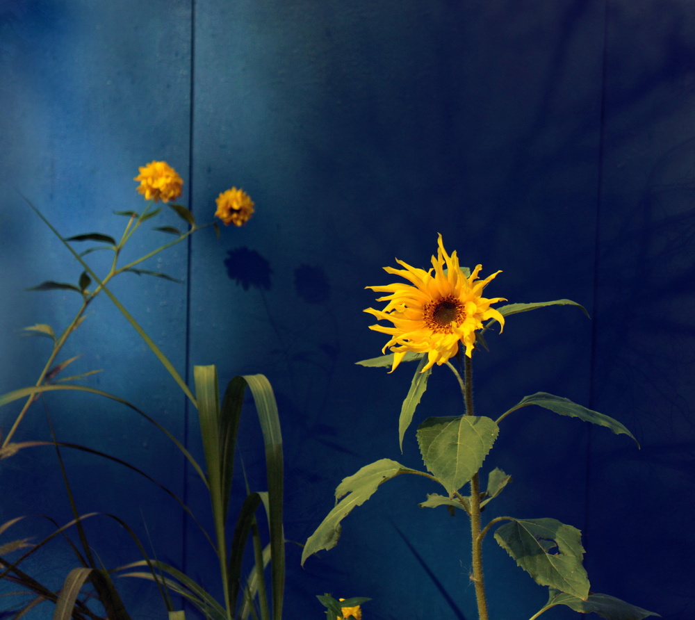 LANDSCAPES & STREET PHOTOGRAPHY