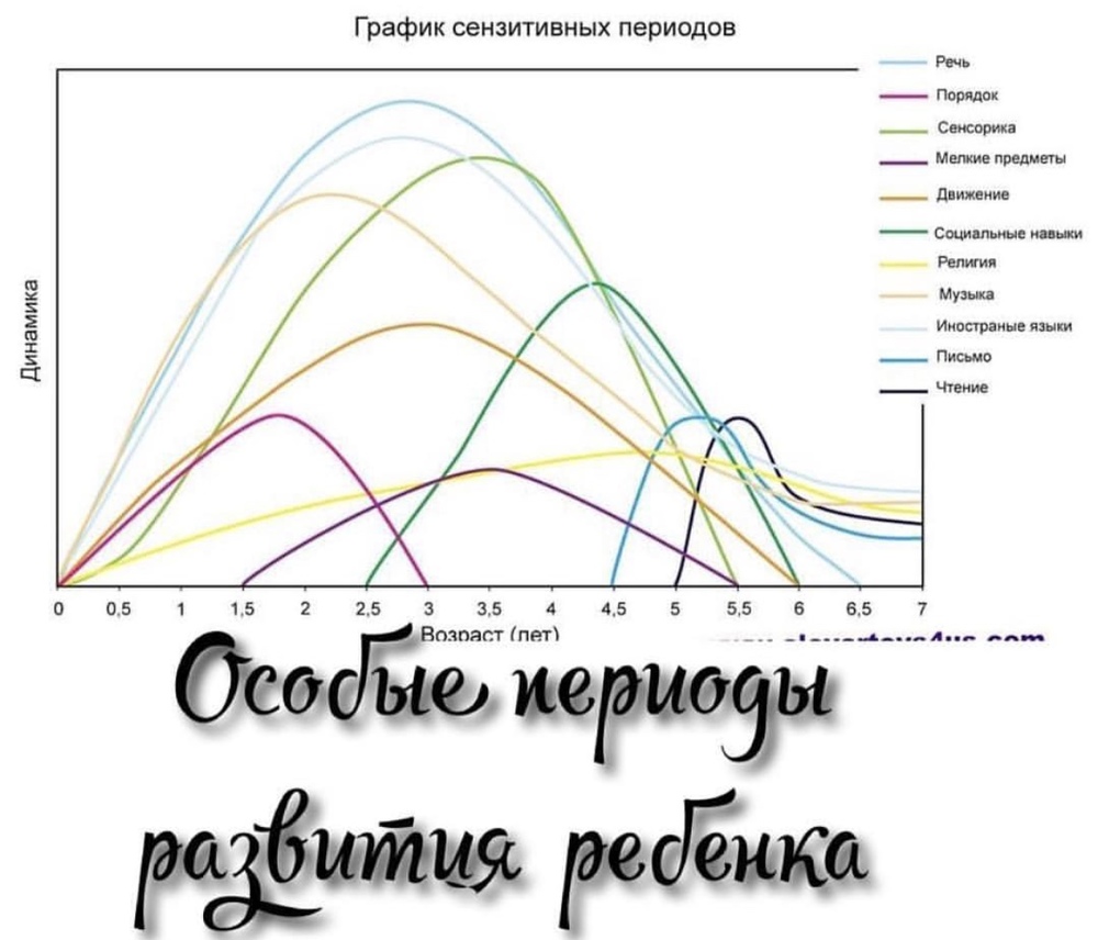 Развитие ребенка в возрасте 4-5-6 лет. Возрастные особенности..