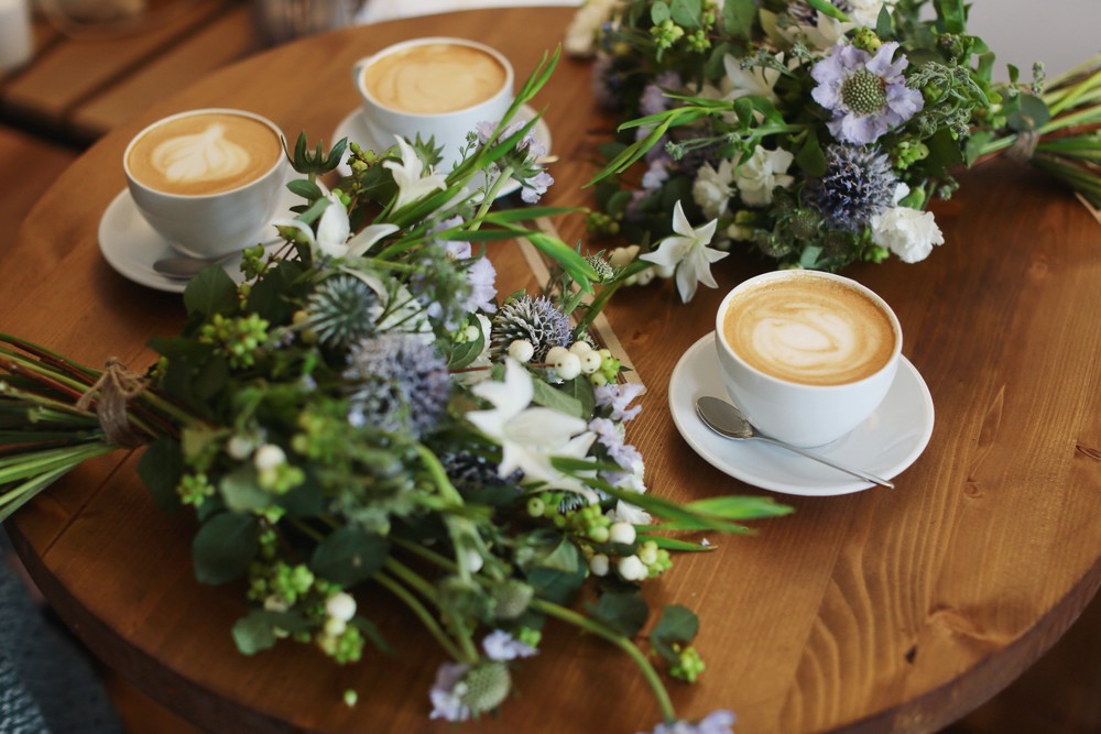 Использование кофе как удобрения для комнатных растений и огорода