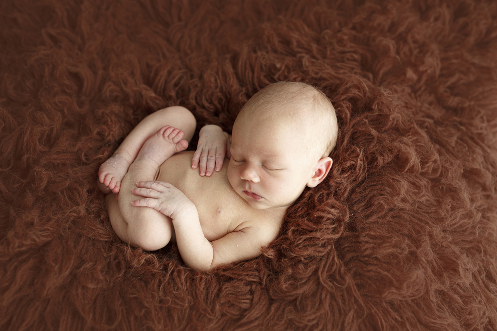 Newborn (los recién nacidos)
