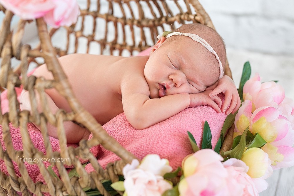 Newborn (los recién nacidos)