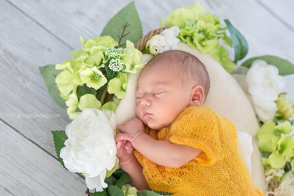 Newborn (los recién nacidos)