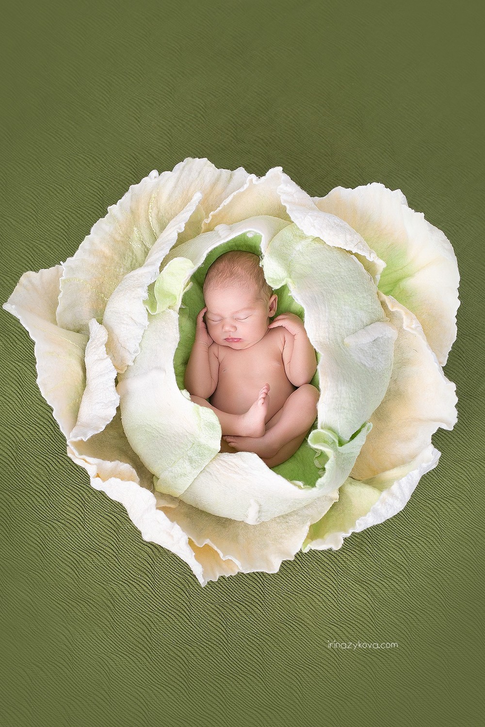 Newborn (los recién nacidos)