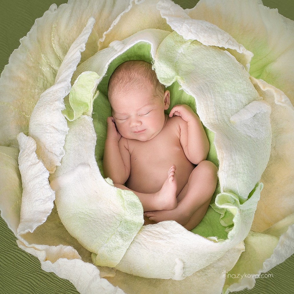 Newborn (los recién nacidos)