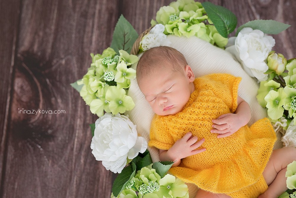 Newborn (los recién nacidos)