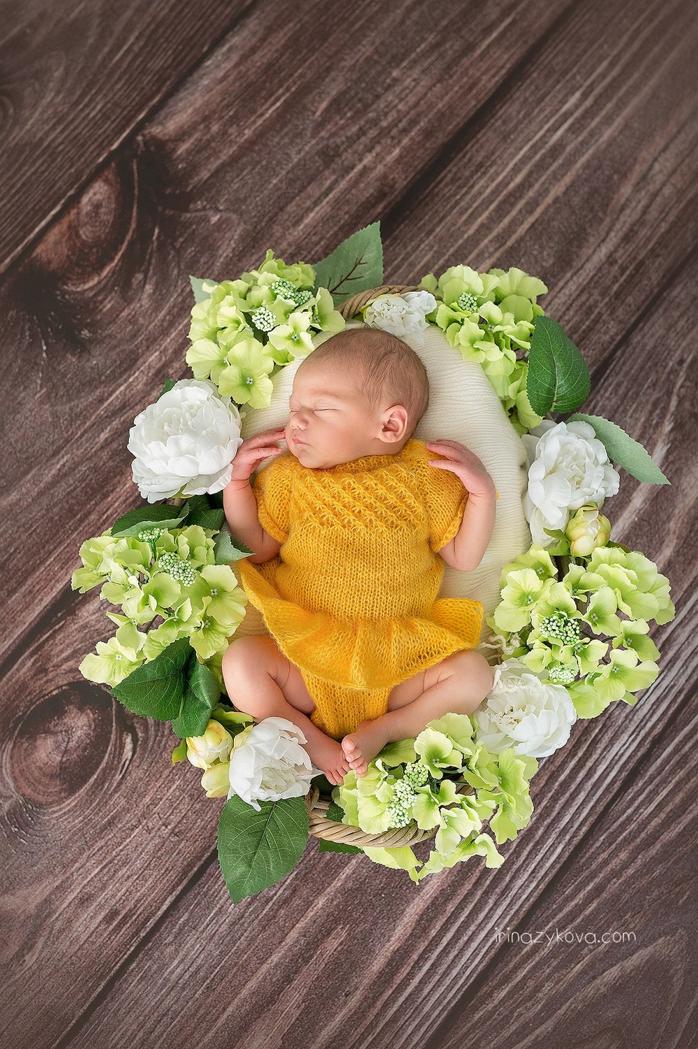 Newborn (los recién nacidos)