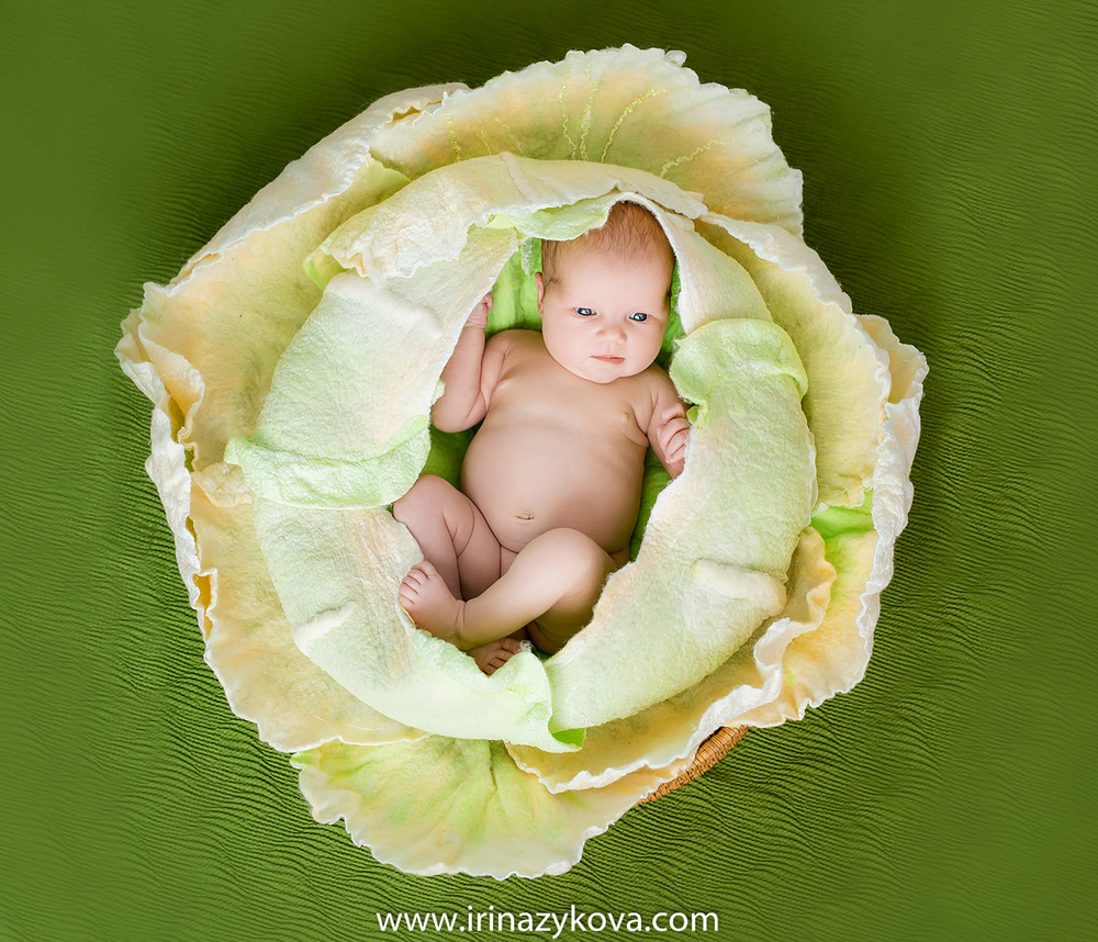Newborn (los recién nacidos)