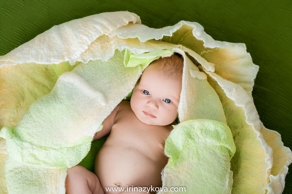 Newborn (los recién nacidos)