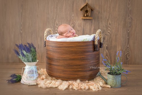 Newborn (los recién nacidos)