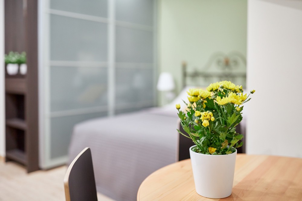 Apart hotel, Alicante