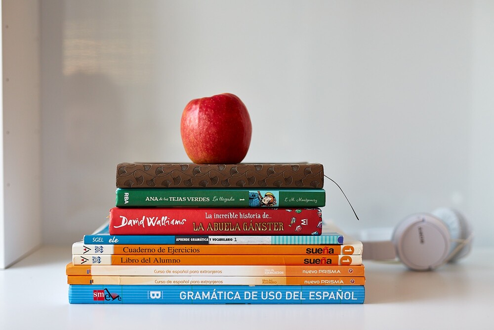 Pagina web de profesora español Galina Taschyan