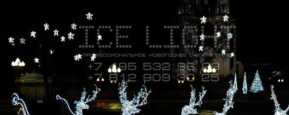 Световое оформление деревьев