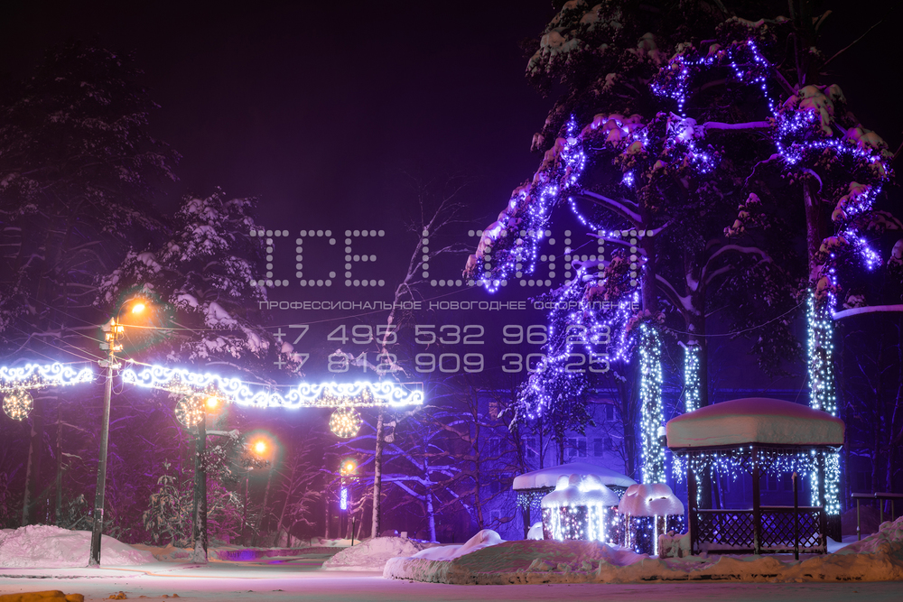 Световое оформление деревьев