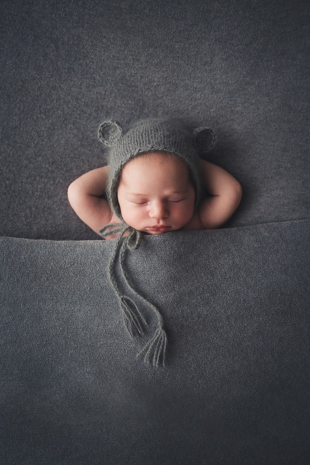 baby bear, newborn los altos