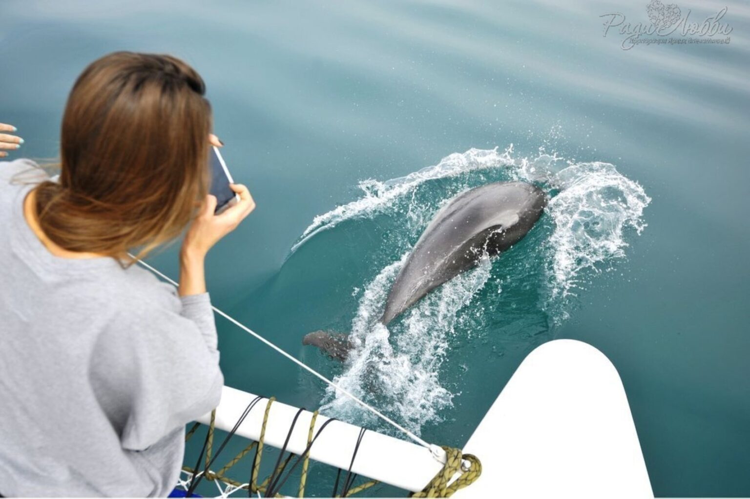 Яхта в адлере сочи. Морская прогулка на корабле. Сочинский морвокзал. Яхты в порту сочи. Морской порт сочи.