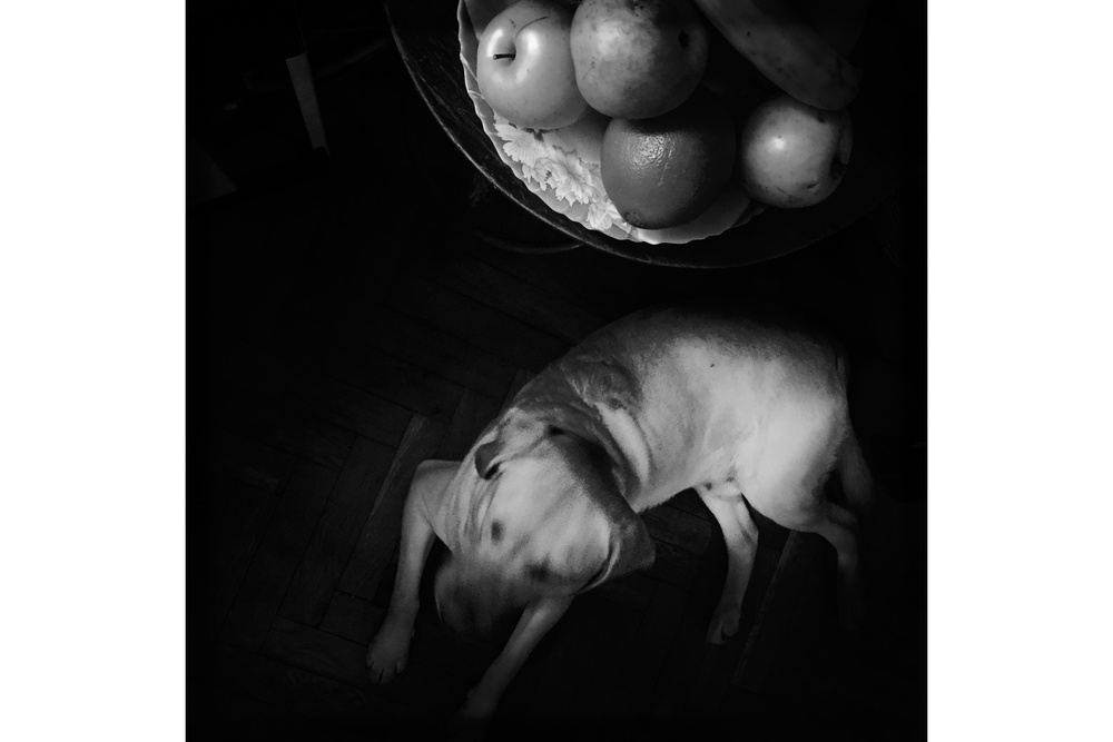 MOBILE PHOTO