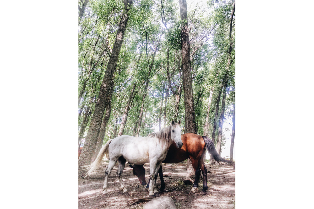 MOBILE PHOTO