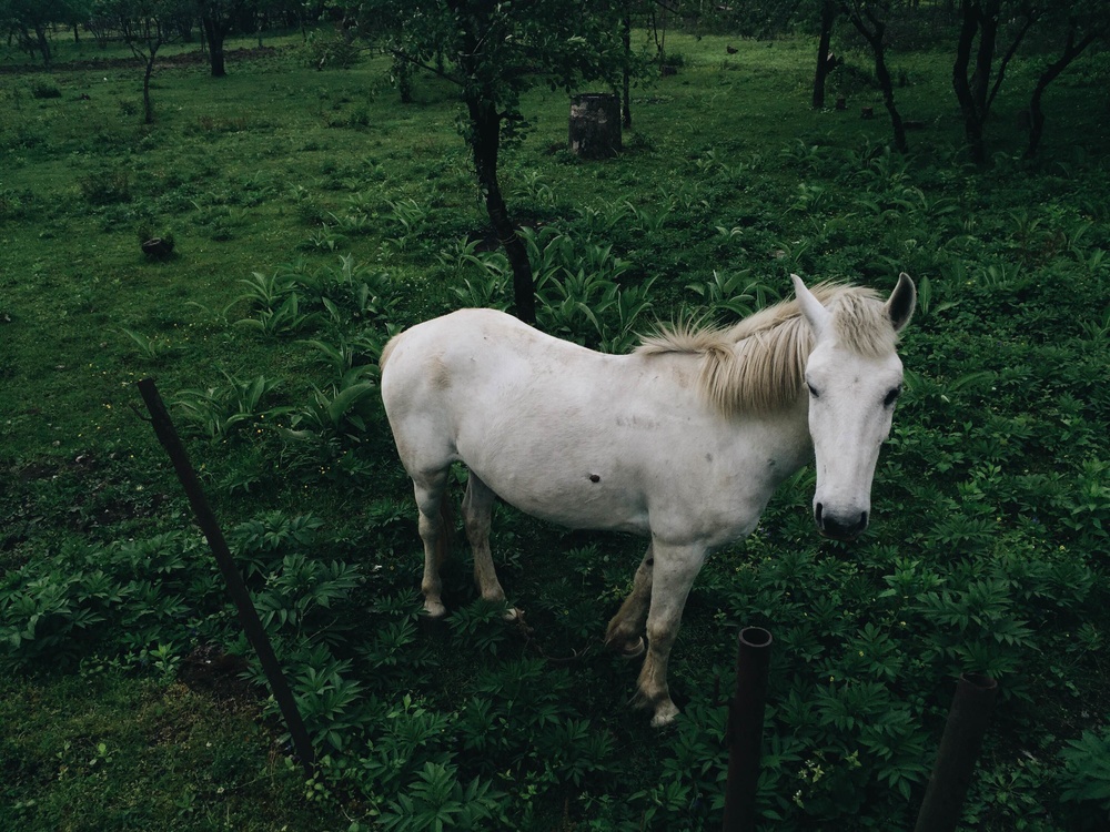 MOBILE PHOTO