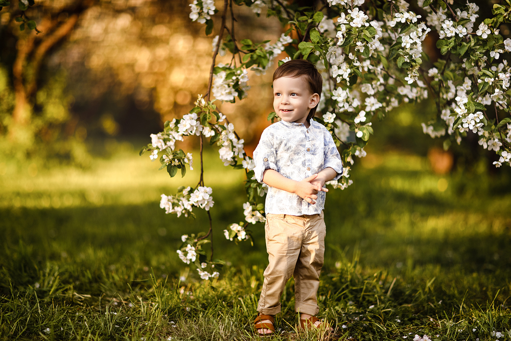 Семейная фотосессия в яблоневом саду | Семейные фотосессии, Фотосессия, Позы для семейных фото