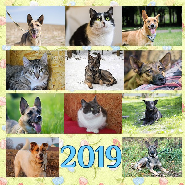 2019 год