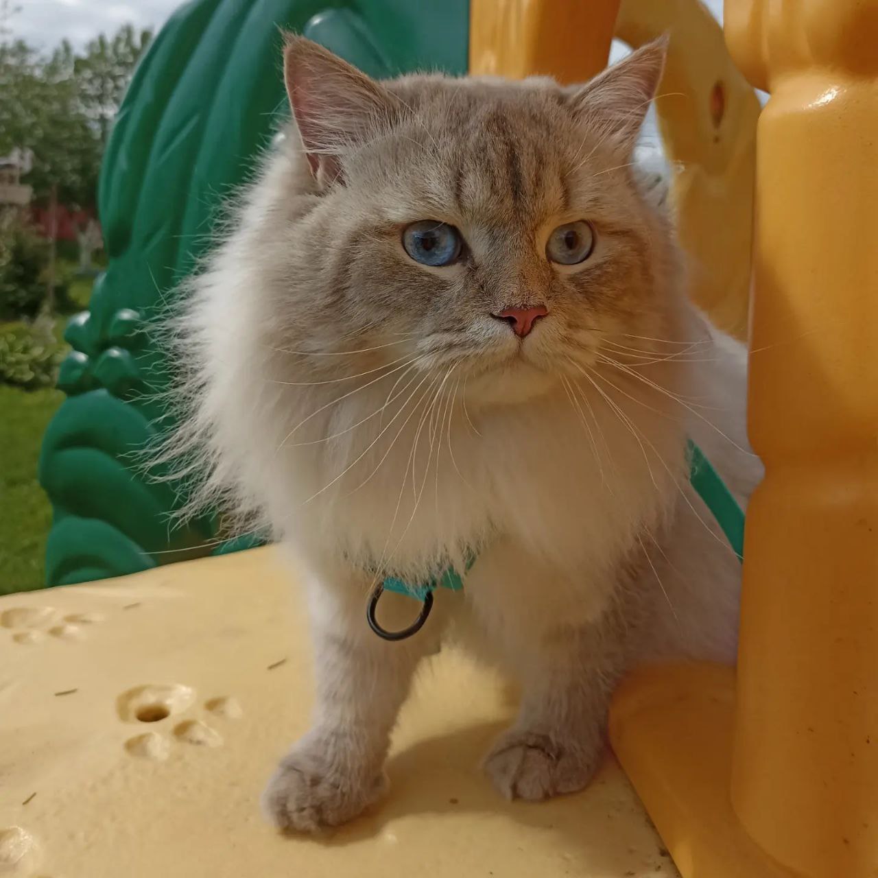 как связаться с playstation как связаться с playstation