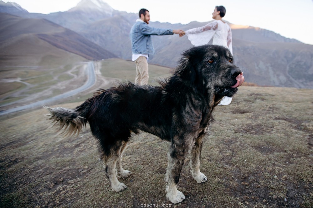 Love story G+E
