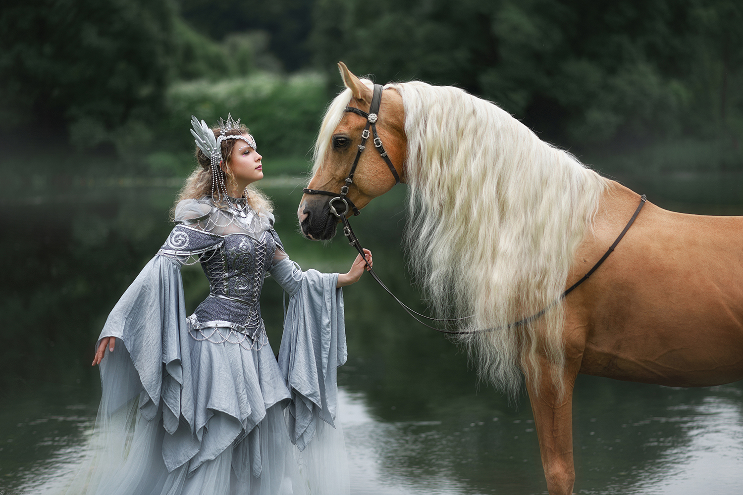 Прокат сказка. Валькирия на коне. Серебряная леди. Девушка Валькирия на коне фото.