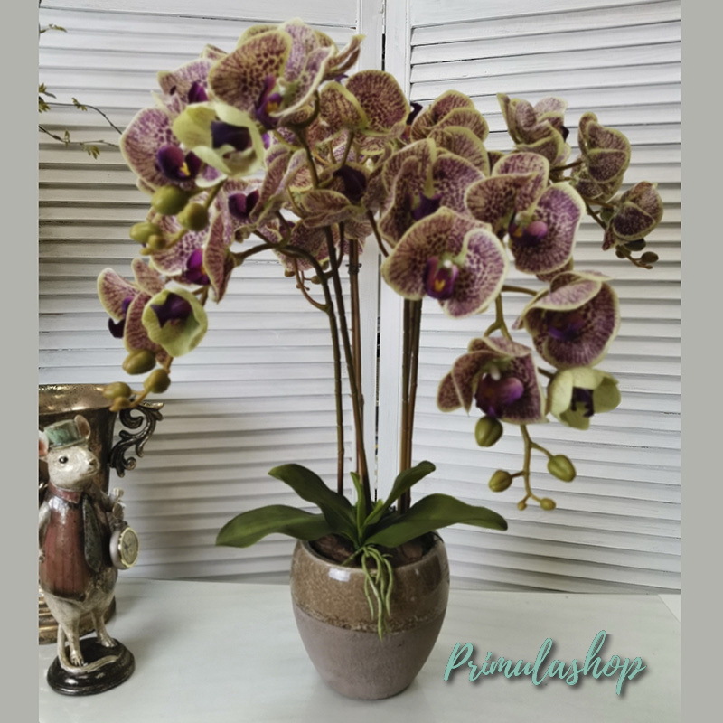 Высокие цветы в напольную вазу для оформления интерьера