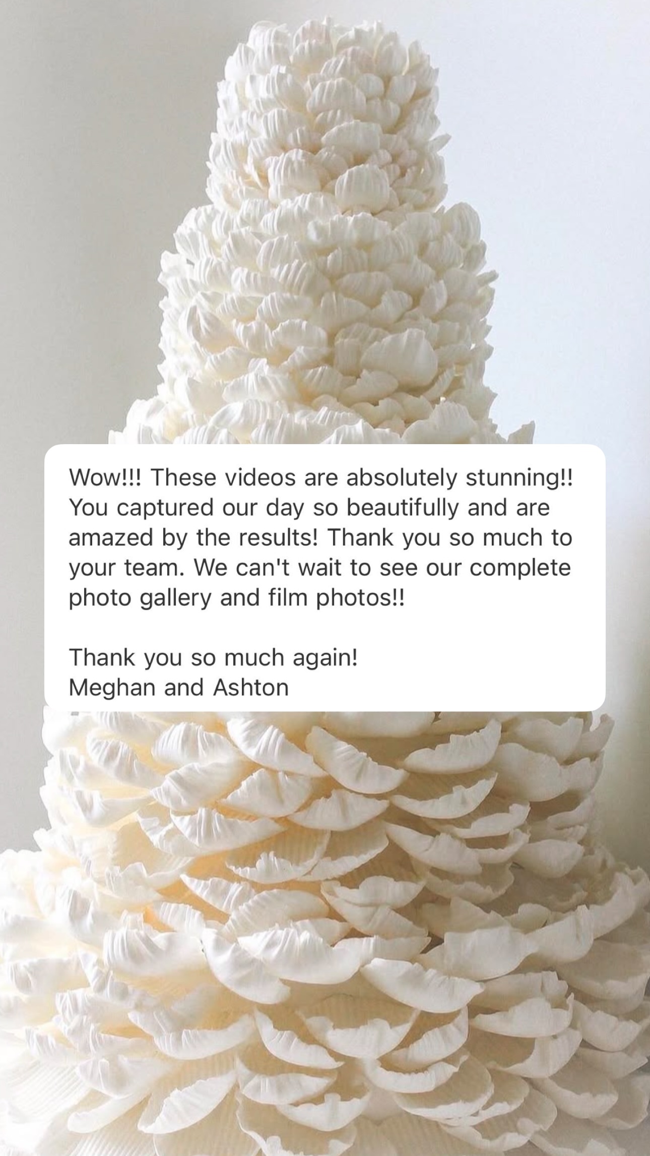 Dreamwood client review wedding photo 190