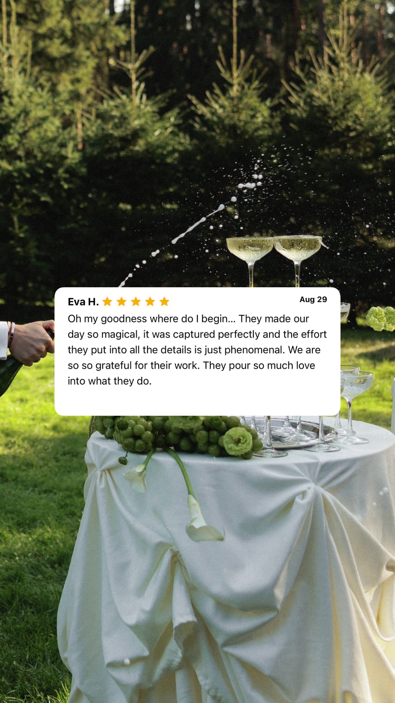 Dreamwood client review wedding photo 223