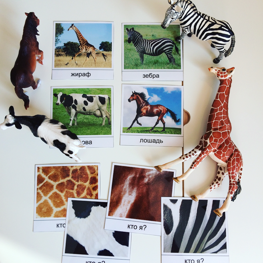 ПЕЧАТЬ И ЛАМИНИРОВАНИЕ КАРТОЧЕК