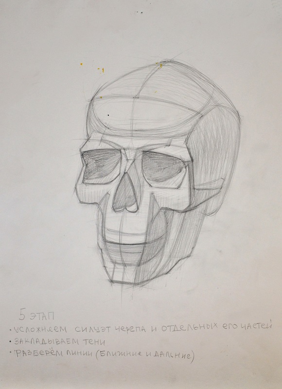 Как рисовать череп человека поэтапно