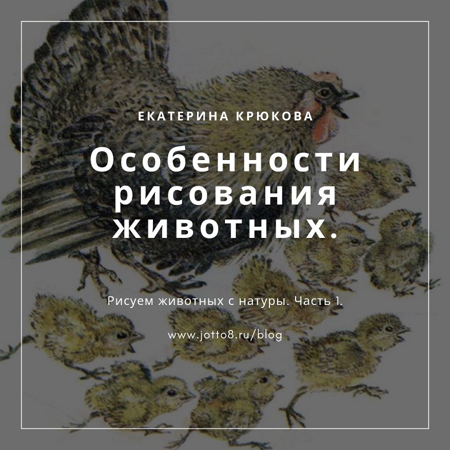 1. Общий контур туловища обезьяны