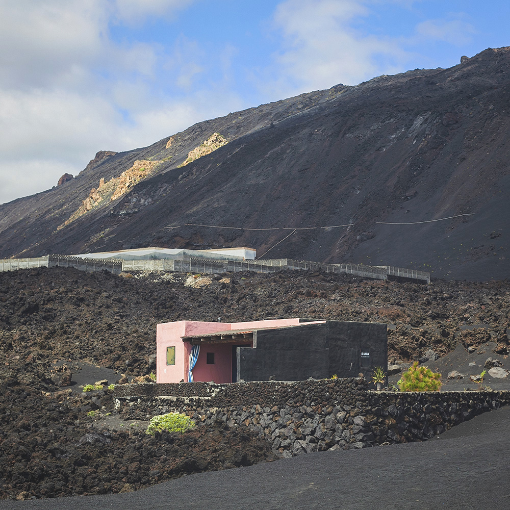canaries, canary islands
