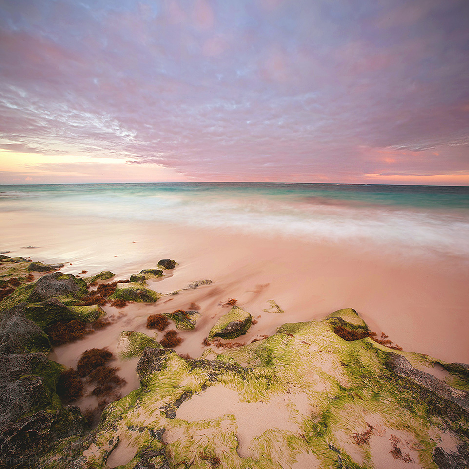 Bermuda, grape bay