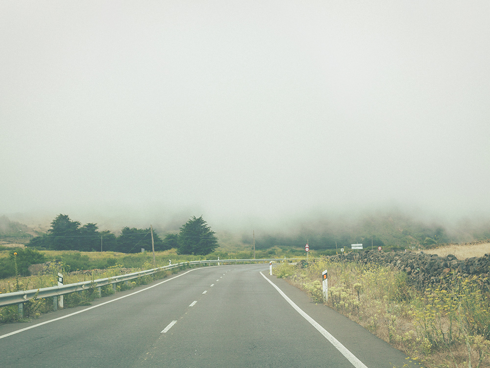 el hierro, pine trees, fog
