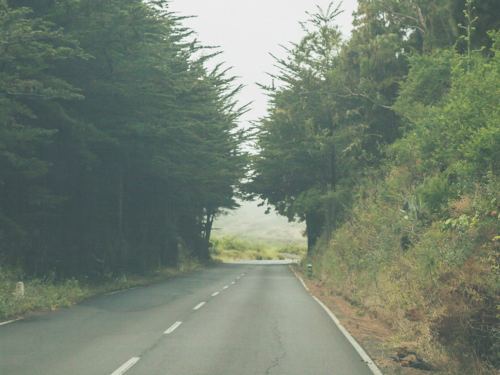 fog, el hierro