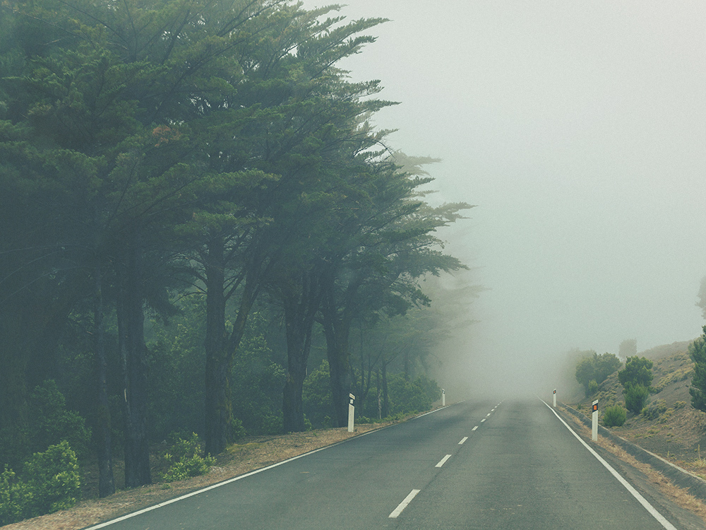 foggy road, el hierro