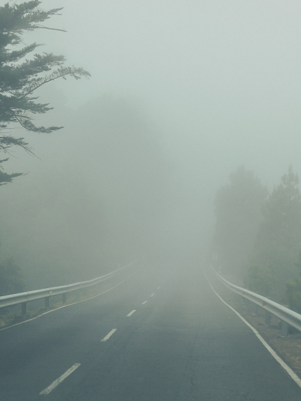 fog, el hierro, road