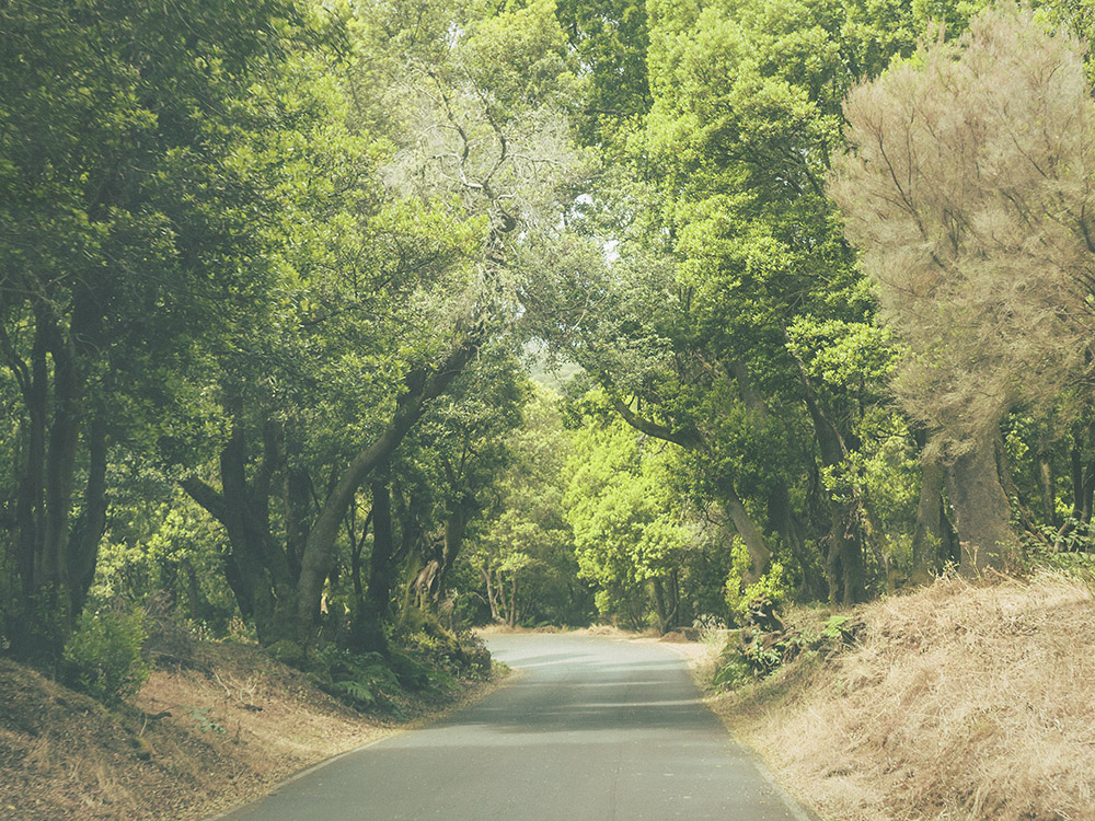 road, canaries, el hierro