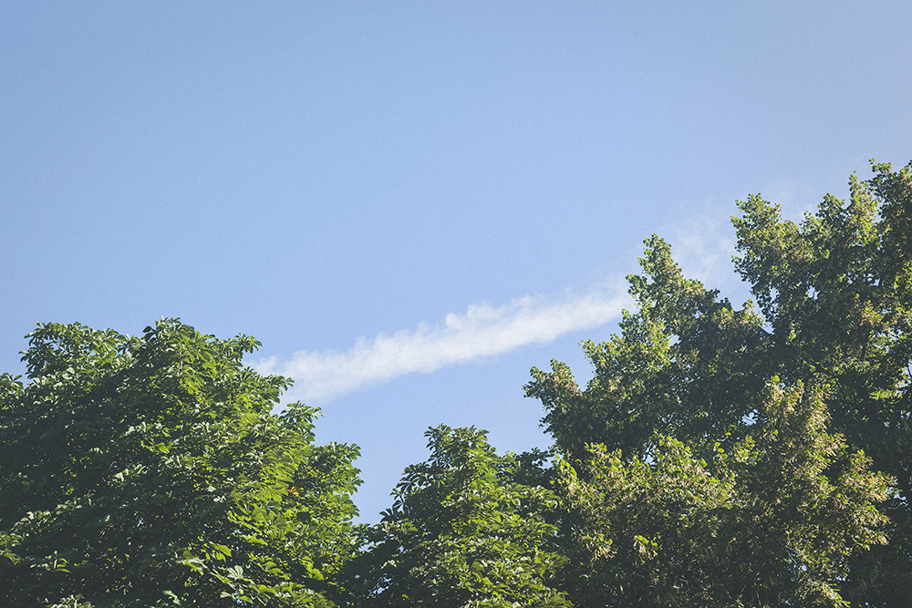moscow, summer