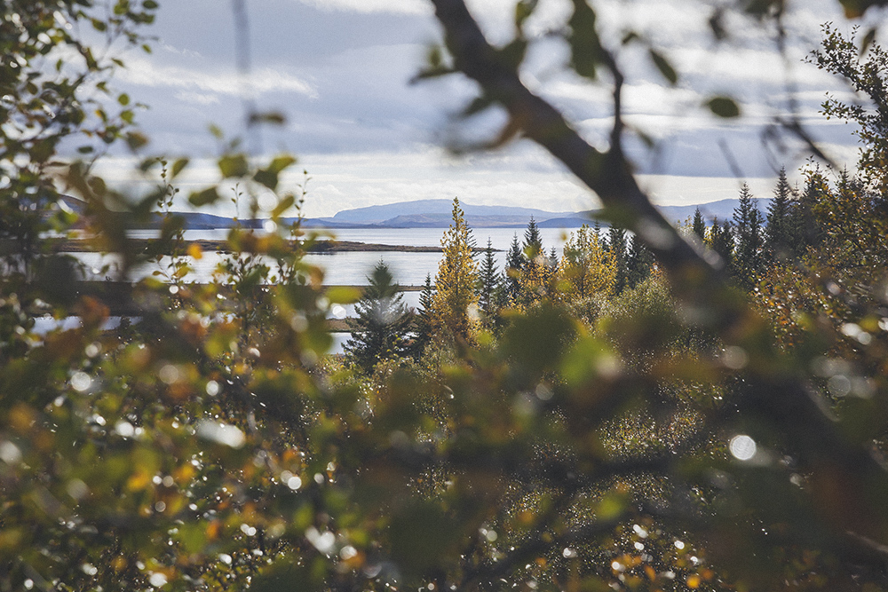 Thingvellir, iceland, tectonic plates, diving, silfra