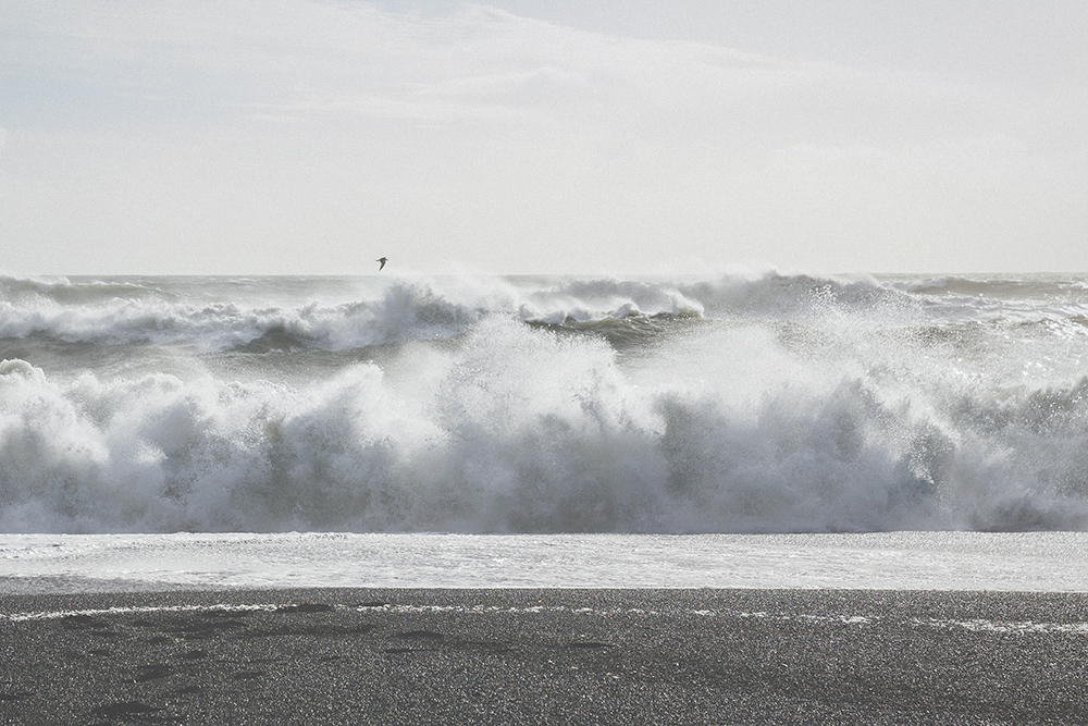Reynisfjara beach, iceland, dangerous, sneaker waves